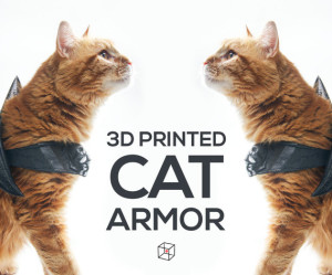 in 3D chế bộ áo giáp cho mèo